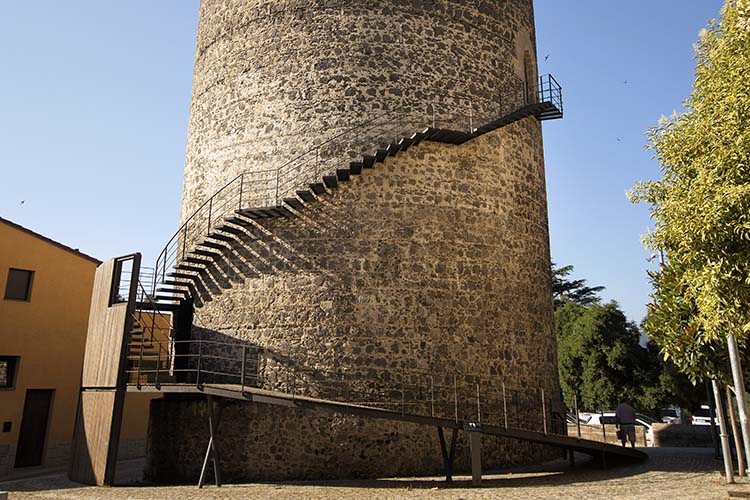 The Friars Tower